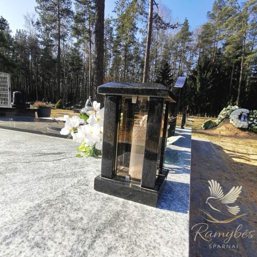 Kapaviečių tvarkymas +37067324410 (37)